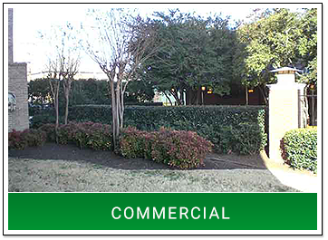 Manicured Greenery in Front of Business