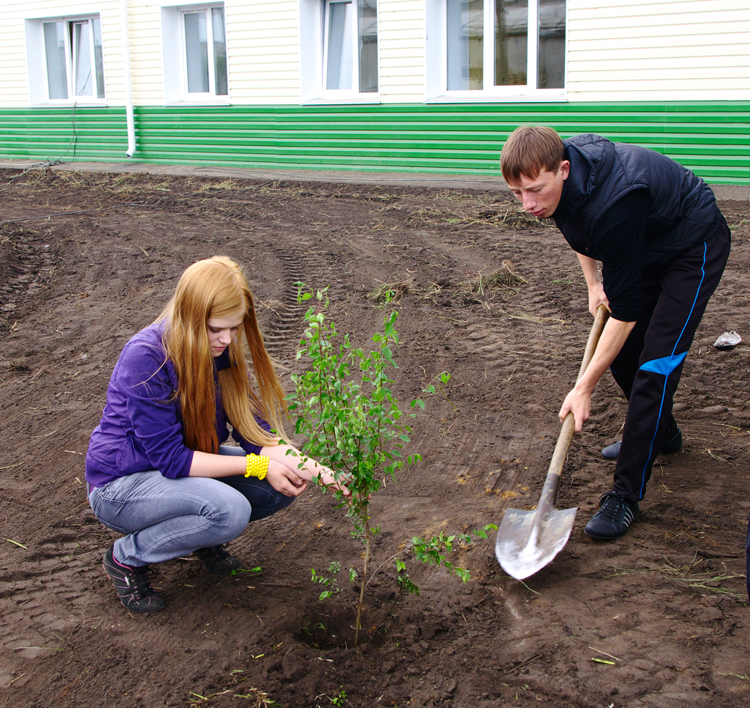 Tree Planting